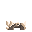 Alpha Wolf icon