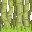 Bamboo icon
