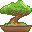 Bonsai icon