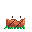 Coconut Capsule icon