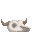 Cow Skull icon