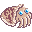 Cuttlefish icon