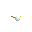 Euphoric Dragon icon