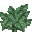 Jungle Fern icon