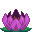 Lotus Lamp icon