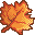 Maple Leaf icon