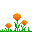 Marigold Flowers icon