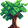 Money Tree icon
