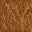 Oak Tree icon