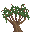 Pepper Tree icon