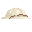 Pith Helmet icon