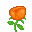 Poppy icon