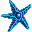 Quantum Starfish icon
