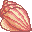 Queen Conch Shell icon