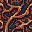 Rainforest Roots icon