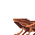 Riding 'roach icon