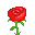 Rose icon