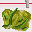 Rotting Sea Goo icon