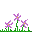 Saffron Crocus Flower icon