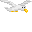 Seagull icon