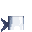 Shark Suit icon