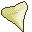 Shark Tooth icon