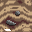 Space Dirt icon