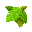 Sprig of Mint icon