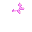 Starfish Leash icon