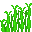 Sugar Cane icon