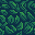 Summer Background icon