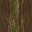 Weeping Willow icon