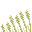Wheat icon