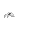 Wolf Skull Shoulders icon