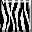 Zebra Block icon